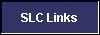  SLC Links 